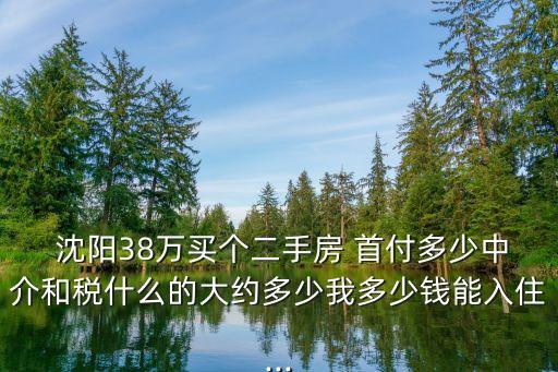  沈陽38萬買個二手房 首付多少中介和稅什么的大約多少我多少錢能入住...