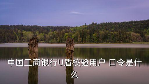 中國工商銀行U盾校驗用戶 口令是什么