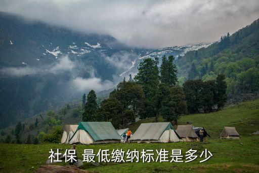  社保 最低繳納標(biāo)準(zhǔn)是多少