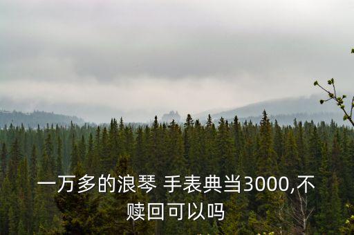 一萬多的浪琴 手表典當3000,不贖回可以嗎