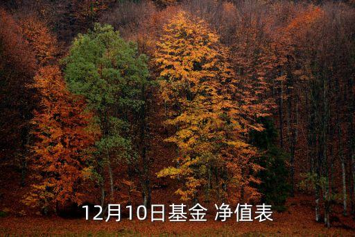 12月10日基金 凈值表