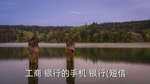  工商 銀行的手機(jī) 銀行(短信