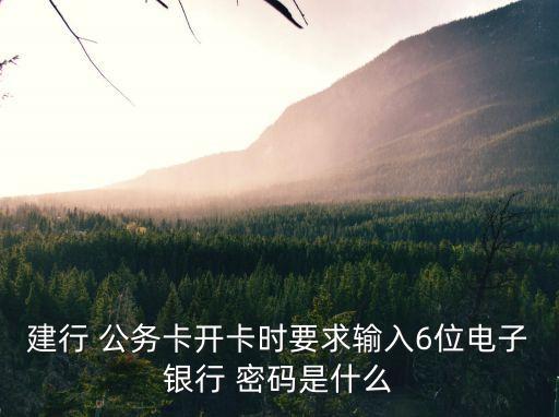 公務(wù)卡原始密碼多少,中國(guó)銀行公務(wù)卡原始密碼