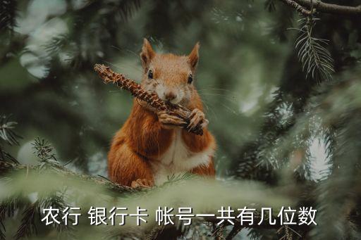 銀行卡的帳號是多少位,西安銀行卡號多少位