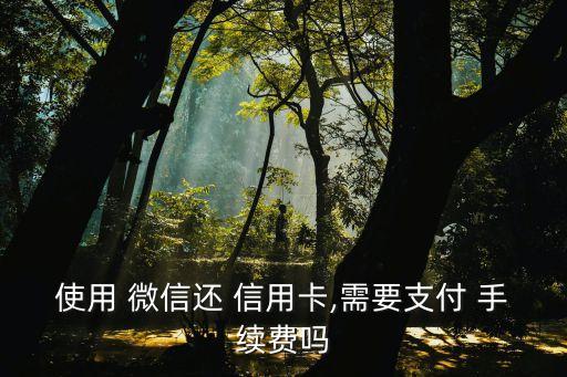 使用 微信還 信用卡,需要支付 手續(xù)費(fèi)嗎