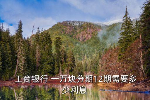  工商銀行 一萬塊分期12期需要多少利息