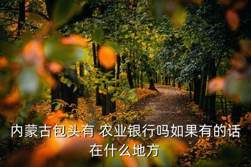 內(nèi)蒙古包頭有 農(nóng)業(yè)銀行嗎如果有的話在什么地方