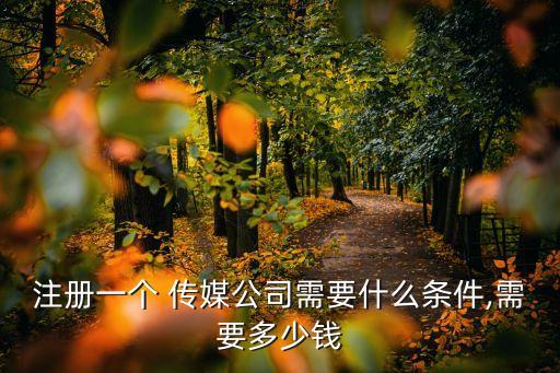 150248傳媒b級(jí)虧多少錢(qián)