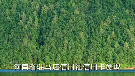 河南省駐馬店信用社信用卡類型