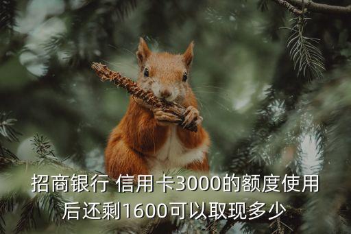 招商銀行 信用卡3000的額度使用后還剩1600可以取現(xiàn)多少