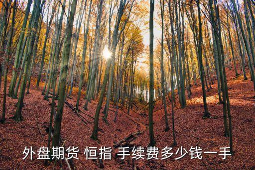 恒指的手續(xù)費(fèi)是多少,小恒指一手保證金和手續(xù)費(fèi)