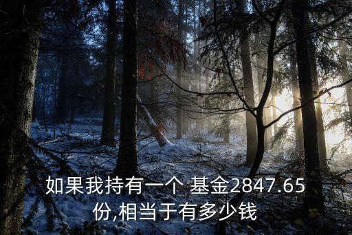 基金1份額多少錢,基金3000份額是多少錢