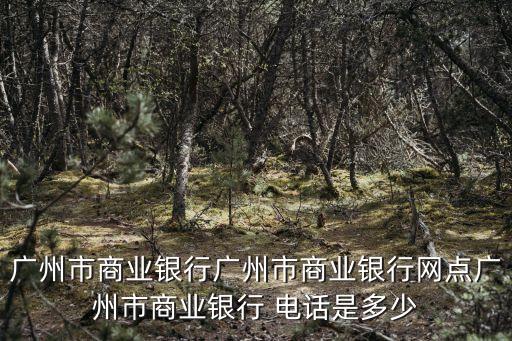 廣州市商業(yè)銀行廣州市商業(yè)銀行網(wǎng)點廣州市商業(yè)銀行 電話是多少
