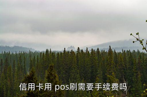信用卡用 pos刷需要手續(xù)費嗎