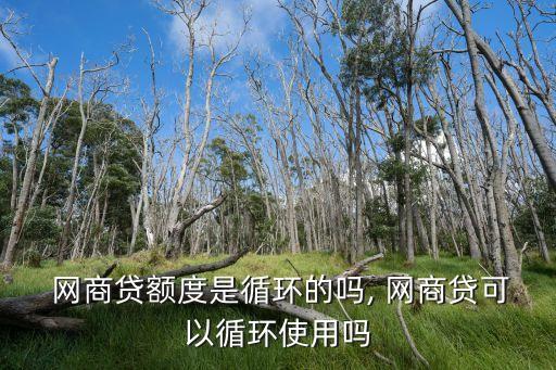 網(wǎng)商貸第二次能貸多少