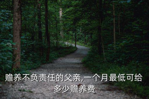 贍養(yǎng)不負(fù)責(zé)任的父親,一個(gè)月最低可給多少贍養(yǎng)費(fèi)