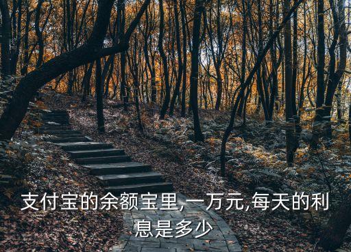 支付寶的余額寶里,一萬元,每天的利息是多少