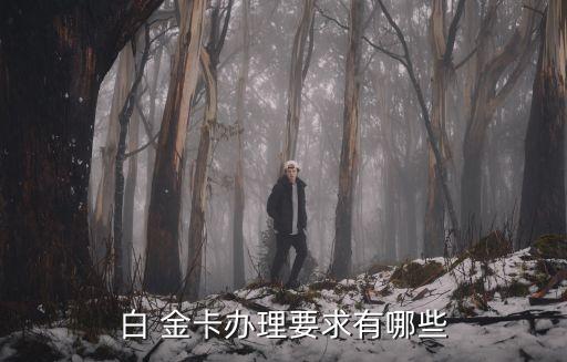 白 金卡辦理要求有哪些