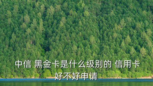  中信 黑金卡是什么級(jí)別的 信用卡好不好申請(qǐng)