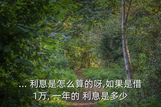 ... 利息是怎么算的呀,如果是借1萬, 一年的 利息是多少