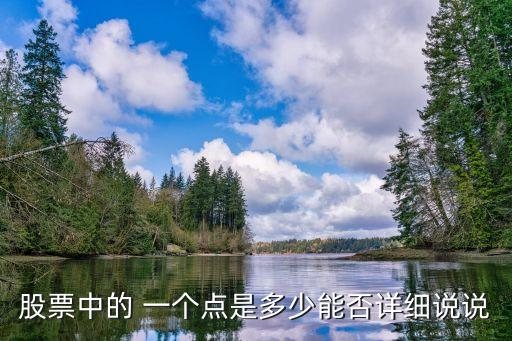 股票中的 一個點(diǎn)是多少能否詳細(xì)說說