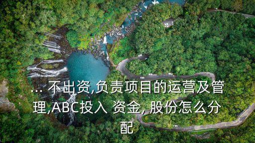 自己不出資金投資人占多少股份