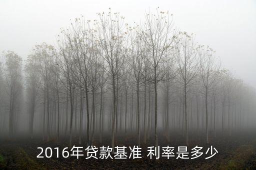 證大信貸利率多少?,信貸利率不能超過多少