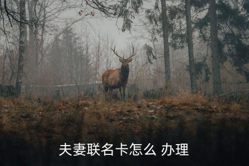 夫妻聯(lián)名卡怎么 辦理