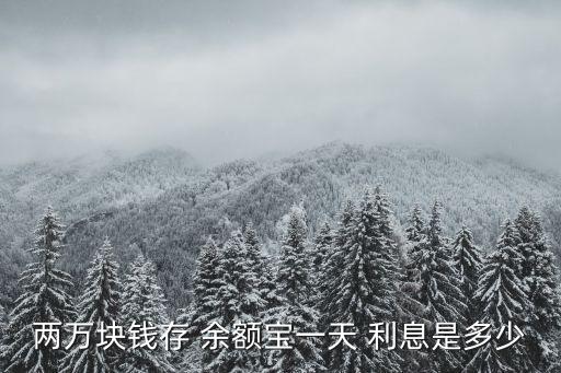 兩萬(wàn)塊錢(qián)存 余額寶一天 利息是多少