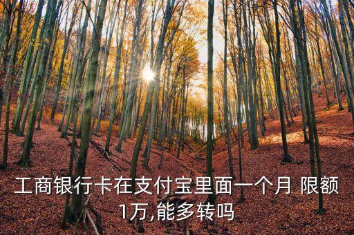 余額寶向工行轉(zhuǎn)賬限額是多少錢,工行往余額寶轉(zhuǎn)賬限額