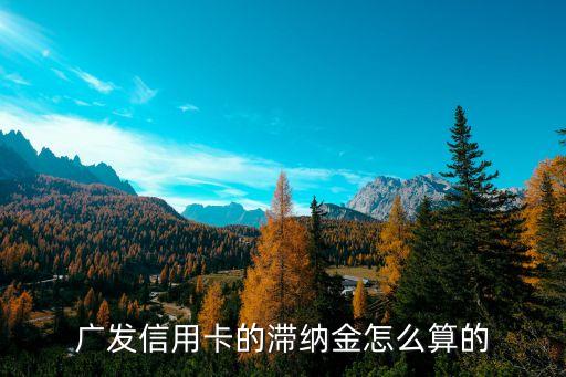 廣發(fā)卡超限費(fèi)是多少