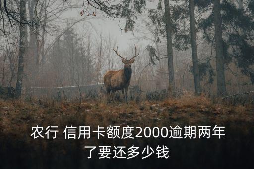  農(nóng)行 信用卡額度2000逾期兩年了要還多少錢