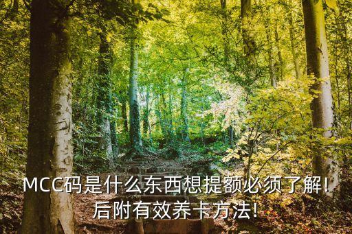 MCC碼是什么東西想提額必須了解!后附有效養(yǎng)卡方法!