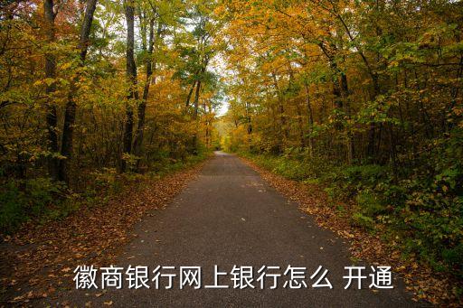 徽商開通網(wǎng)銀多少錢,徽商銀行卡怎么開通網(wǎng)銀