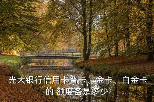 光大高爾夫最高額度多少,光大信用卡最高額度多少