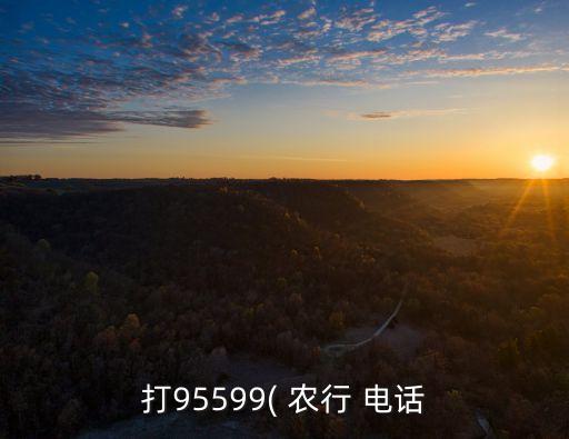 打95599( 農(nóng)行 電話(huà)