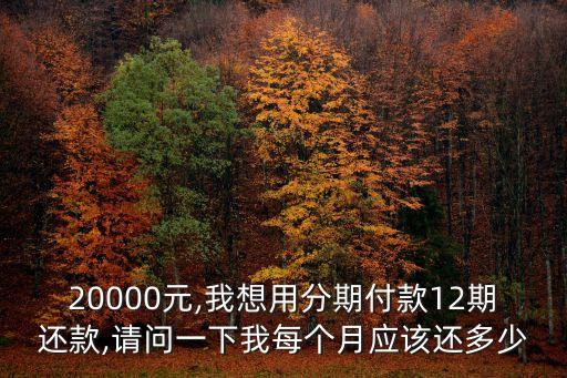 20000元,我想用分期付款12期還款,請問一下我每個月應該還多少