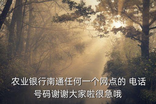 農(nóng)業(yè)銀行開(kāi)發(fā)區(qū)支行電話號(hào)碼是多少錢,萊州開(kāi)發(fā)區(qū)農(nóng)業(yè)銀行的電話號(hào)碼