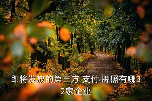 即將發(fā)放的第三方 支付 牌照有哪32家企業(yè)