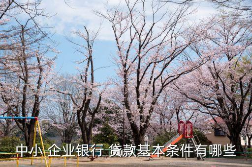 中小 企業(yè)銀行 貸款基本條件有哪些