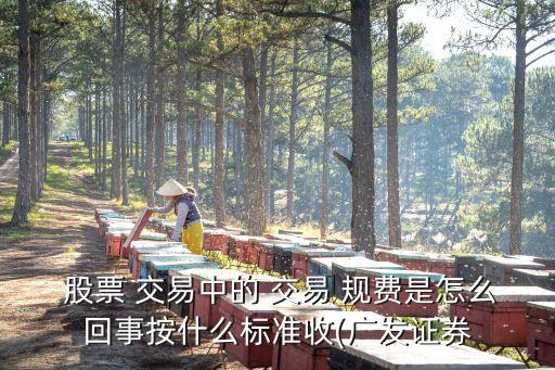 股票交易規(guī)費多少點,上海市場股票交易的規(guī)費包含