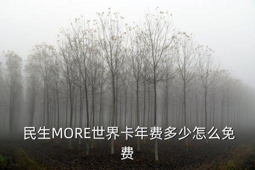 民生MORE世界卡年費(fèi)多少怎么免費(fèi)