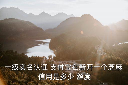 一級實(shí)名認(rèn)證 支付寶在新開一個(gè)芝麻 信用是多少 額度