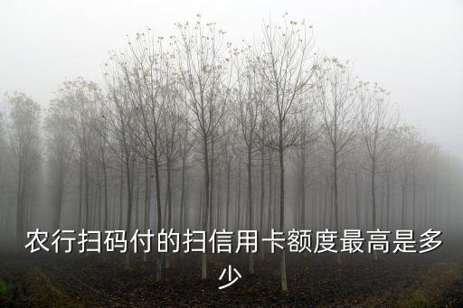  農(nóng)行掃碼付的掃信用卡額度最高是多少