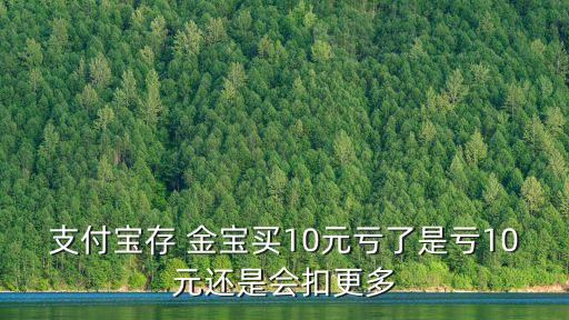存金寶一般投多少錢,金寶樂園門票多少錢