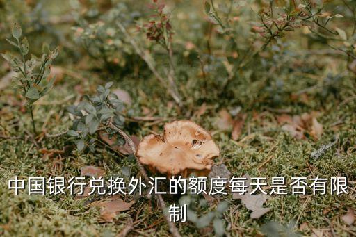 中國銀行兌換外匯的額度每天是否有限制