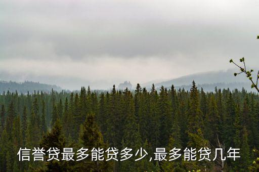 信譽貸最多能貸多少,最多能貸幾年