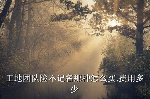 團(tuán)體意外保險(xiǎn)多少錢,100元的意外保險(xiǎn)能賠多少錢