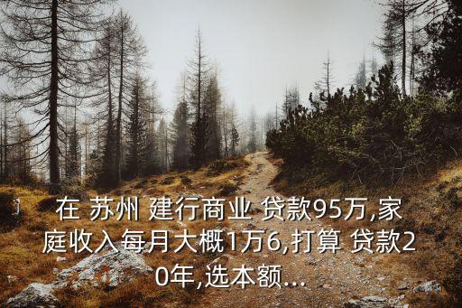 在 蘇州 建行商業(yè) 貸款95萬,家庭收入每月大概1萬6,打算 貸款20年,選本額...