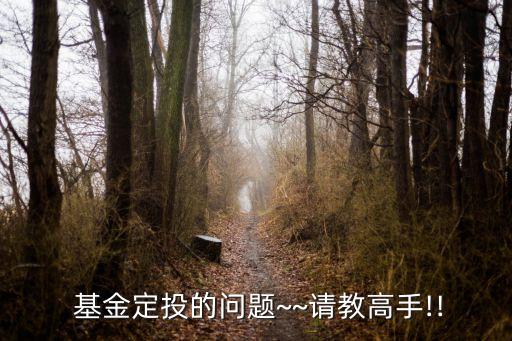  基金定投的問題~~請教高手!!
